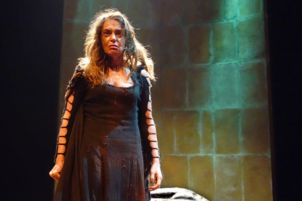 medea 14