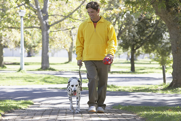 Man Walking Dog in Park