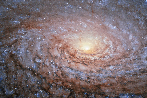 A galactic sunflower