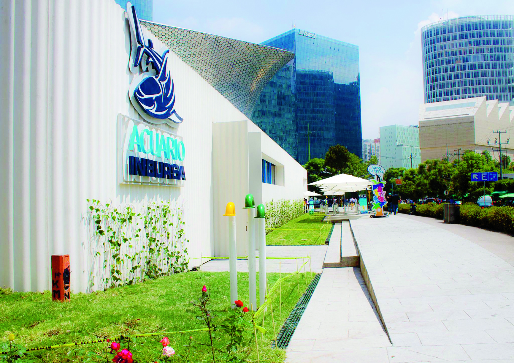 Conoce el Acuario Inbursa Máspormás