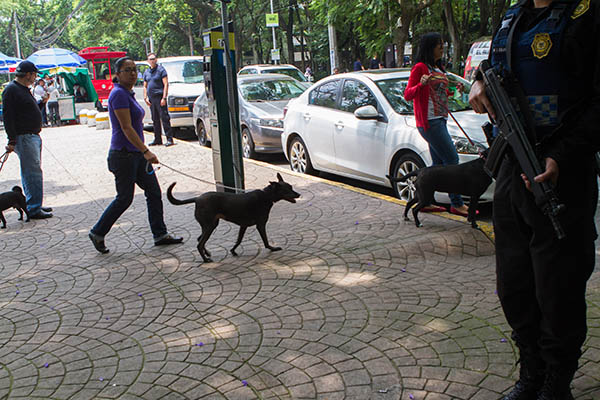 Seguridad_Operativo_Condesa-4