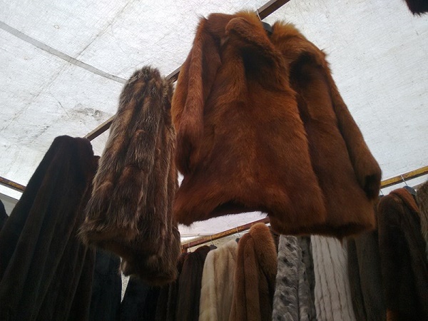 Abrigos de mink