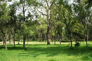 Bosque de San Juan de Aragón