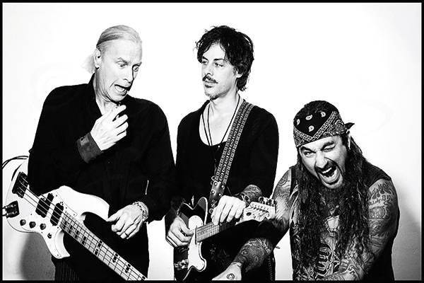 The-winery-dogs-ok