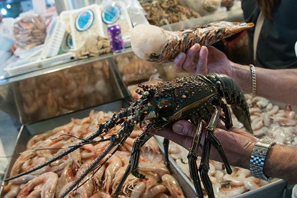 MÉXICO, D.F., 30DICIEMBRE2014.- Decenas de personas visitan el tradicional Mercado de San Juan, donde locatarios ofrecen todo tipo de carnes y mariscos. Los compradores acuden a buscar todo lo necesario para preparar la cena de año nuevo. FOTO: DIEGO SIMÓN SÁNCHEZ /CUARTOSCURO.COM
