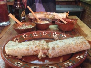burros tercos 2