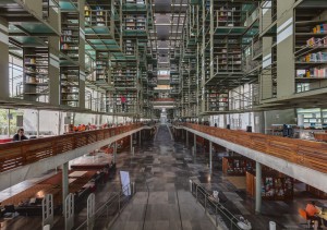 df vasconcelos