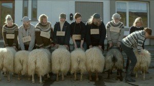 el-cine-islandes-tambien-arrasa-en-la-seminci-con-rams-el-valle-de-los-carneros