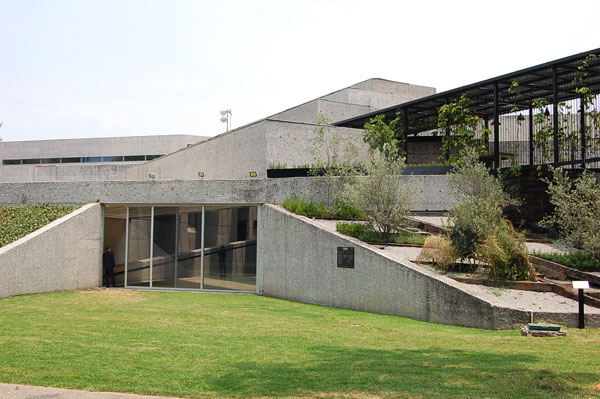 tamayo2