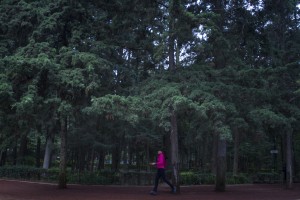 MÉXICO, D.F., 03JUNIO2014.- Jesús Rodríguez Almeida, Secretario de Seguridad Pública durante del Operativo Bosque Seguro en el Bosque de Tlalpan, en Camino Santa Teresa y Zacatepetl, colonia Parque del Pedregal. FOTO: ENRIQUE ORDÓÑEZ /CUARTOSCURO.COM