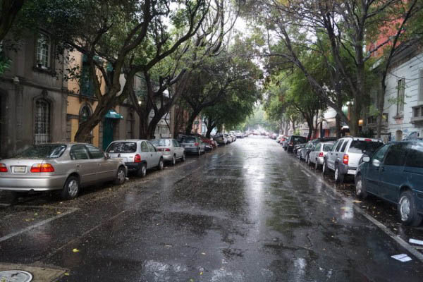 Roma Condesa