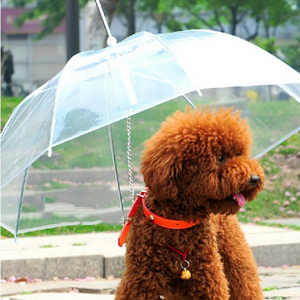 Útil-transparente-PE-mascota-pequeño-perro-ropa-para-la-lluvia-paraguas-con-perro-lleva-mantiene-seca