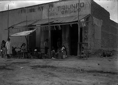 el-triunfo-del-gallo