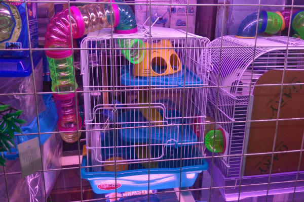 Mi Hamster No Sale De Su Casa
