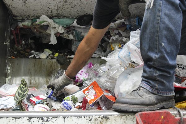 Separacion_Basura-5 separación basura CDMX