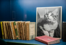 Fotogalería | Adictos a Remedios Varo. Nuevo legado 2018